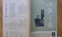 小说月刊,探寻文字的魅力，共赴文学盛宴