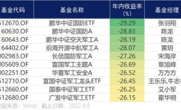 天天基金每日净值表,市场动态与投资亮点一览