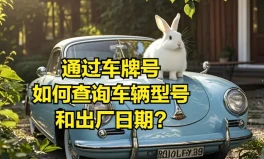 不是自己的车怎么查违章记录注意！只有车牌号怎么查车辆信息？车架号查车辆有什么方法？