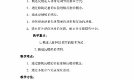 神经调节教案,结构基础、传导机制与高级功能解析