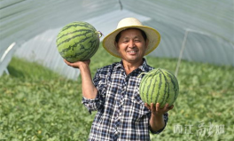 扎西枫丹娱乐吃瓜作品
