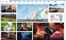 360壁纸官方下载,海量高清壁纸，个性化桌面美化体验